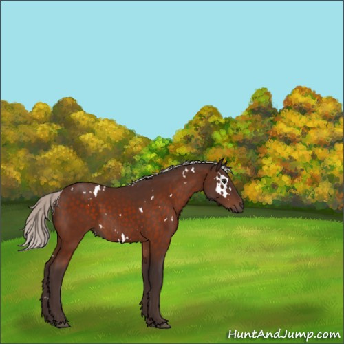 Horse Color:White Spotted Silver Brown 