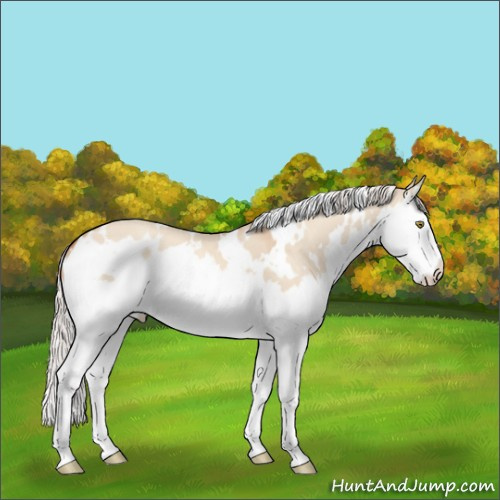 Horse Color:White Spotted Silver Sable Champagne Dun Splash 