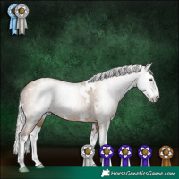 Horse Color:Gray White Spotted Silver Grullo Pearl Splash 