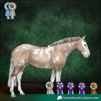 Horse Color:Gray White Spotted Silver Grullo Pearl Splash