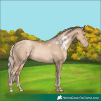 Horse Color:White Spotted Chocolate Palomino Pearl 