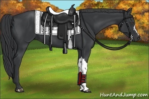 Horse Color:Black Frame 