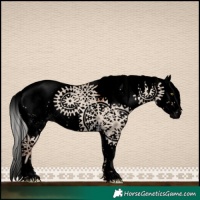 Horse Color:Void White Spotted Silver Sable Champagne Dun Sabino Splash 