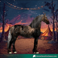 Horse Color:Void White Spotted Silver Bay Dun Tobiano 