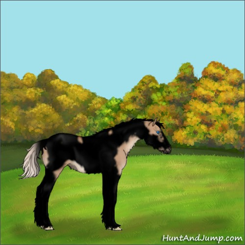 Horse Color:Void Silver Bay Dun Tobiano Frame 