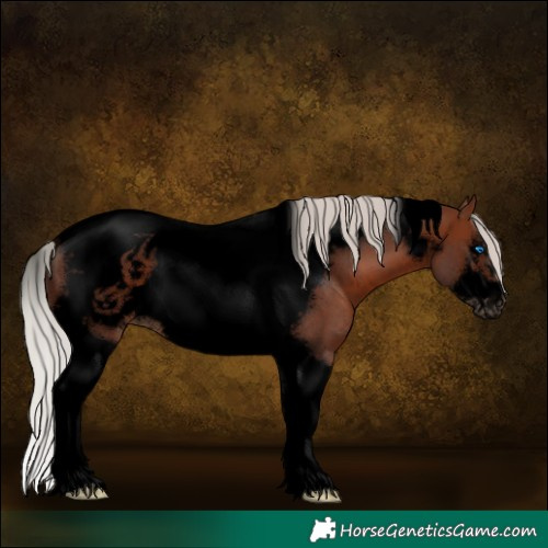 Horse Color:Void Silver Brown Tobiano Frame Rabicano 