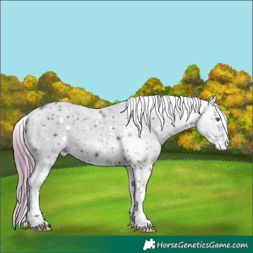 Horse Color:ERROR: UNKNOWN ANOMALY