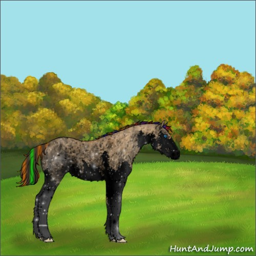 Horse Color:Void Painted White Spotted Buckskin Dun Splash 