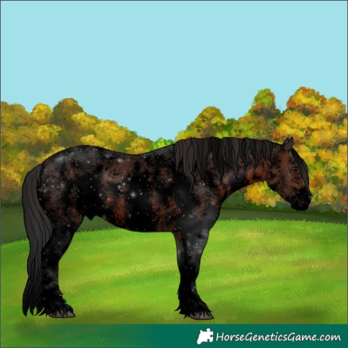 Horse Color:Void Brown Sabino 