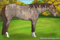Horse Color:Amber Champagne Ice Roan