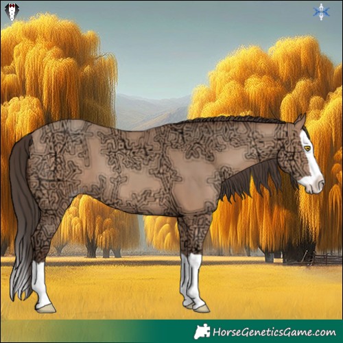 Horse Color:Amber Champagne Ice Splash 