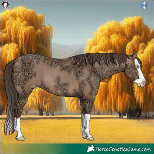 Horse Color:Amber Champagne Ice Splash 