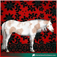 Horse Color:Bay Roan Splash Tobiano