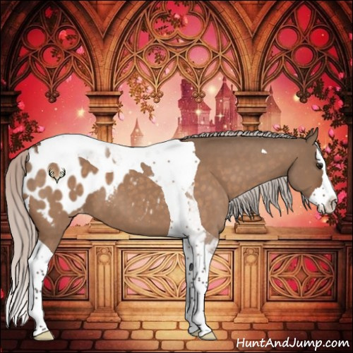 Horse Color:Silver Bay Dun Sabino Splash Tobiano Blanket