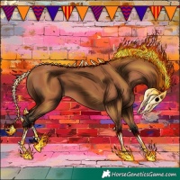 Horse Color:Bay 