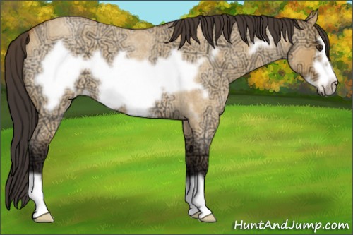 Horse Color:Buckskin Ice Roan Dun Frame 