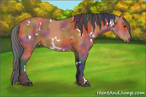 Horse Color:Nacre White Spotted Bay 