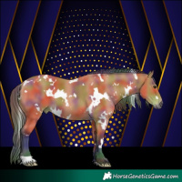 Horse Color:Nacre White Spotted Bay 