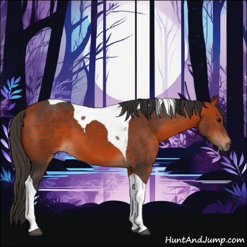 Horse Color:Bay Tobiano 