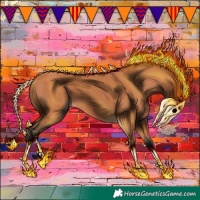 Horse Color:Bay 