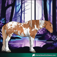 Horse Color:White Spotted Chestnut Tobiano Appaloosa 