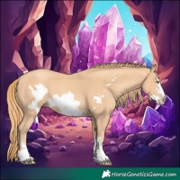 Horse Color:Gold Champagne Frame 