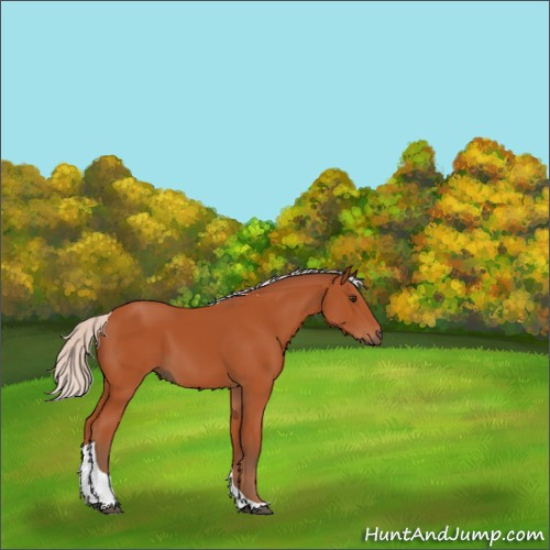 Horse Color:Silver Brown Tobiano 