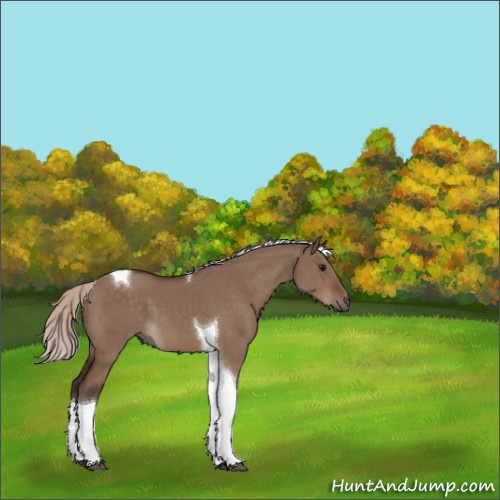 Horse Color:Silver Brown Dun Tobiano 