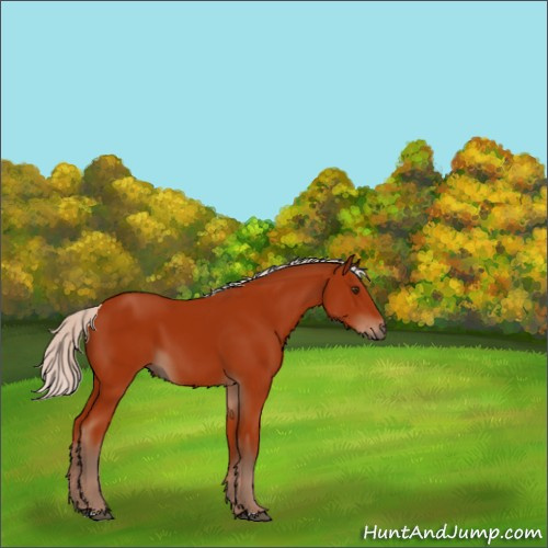 Horse Color:Silver Brown 
