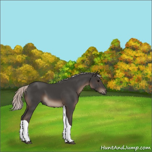 Horse Color:Silver Black Tobiano 