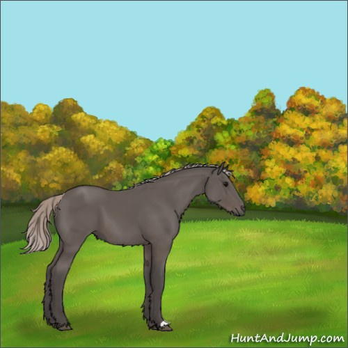 Horse Color:Silver Black 