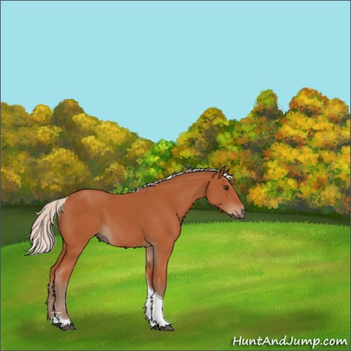 Horse Color:Silver Brown Sabino Tobiano 
