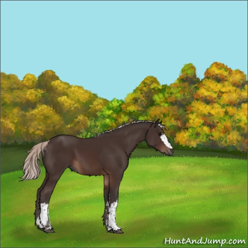 Horse Color:White Spotted Silver Brown 