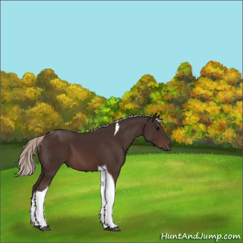 Horse Color:Silver Brown Tobiano 