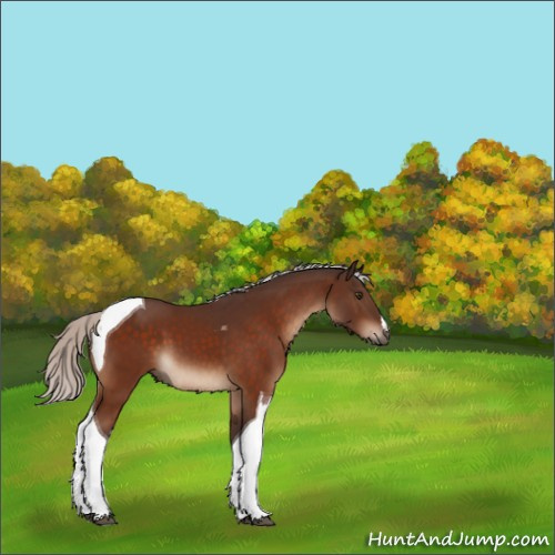 Horse Color:Silver Brown Tobiano 