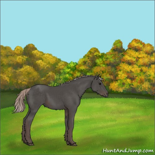 Horse Color:Silver Black 