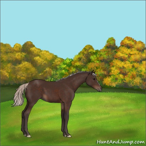 Horse Color:Silver Brown 