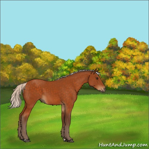 Horse Color:Silver Buckskin 