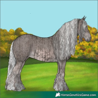 Horse Color:Platinum Liver Chestnut and Platinum Chocolate Palomino