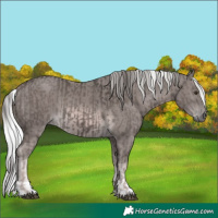 Horse Color:Platinum Liver Chestnut and Platinum Chocolate Palomino