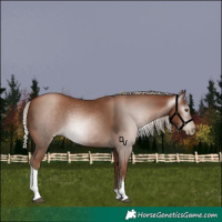 Horse Color:Gray Silver Black Pearl Tobiano 