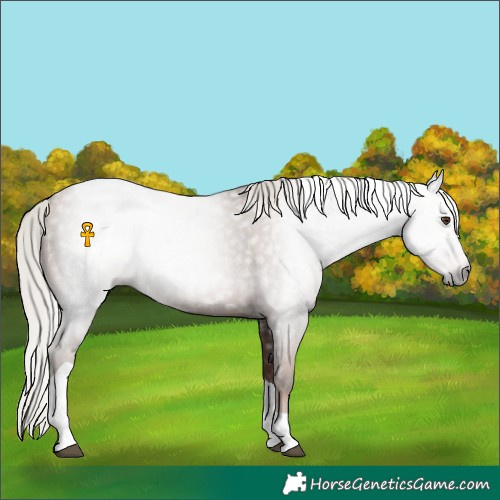 Horse Color:Gray Silver Black Pearl Tobiano 