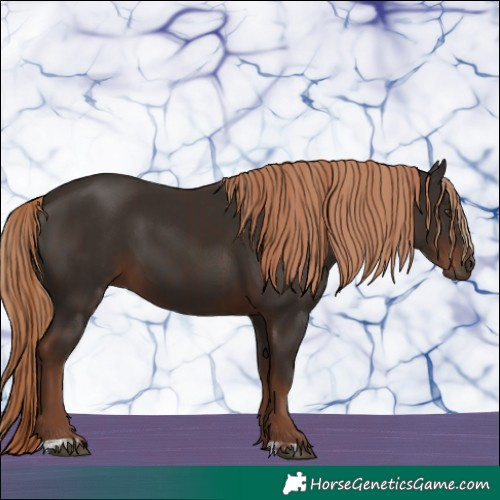 Horse Color:Liver Chestnut  and Liver Chestnut 