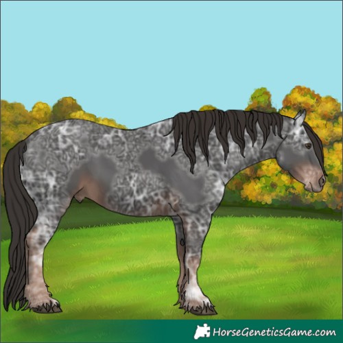 Horse Color:Liver Chestnut Ice 