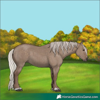 Horse Color:Silver Grullo 