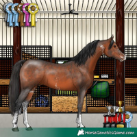 Horse Color:Brown Sabino