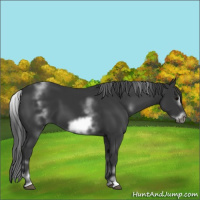 Horse Color:White Spotted Black Frame 