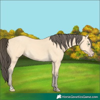 Horse Color:Amber Cream Champagne 