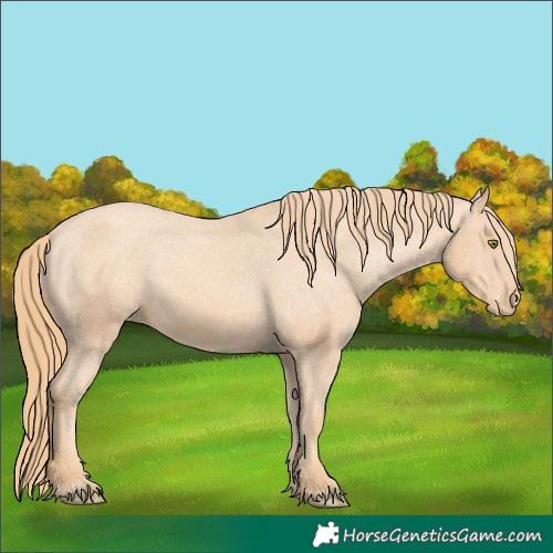 Horse Color:Gold Champagne Varnish