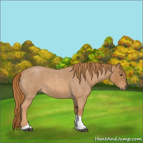 Horse Color:Red Roan Tobiano